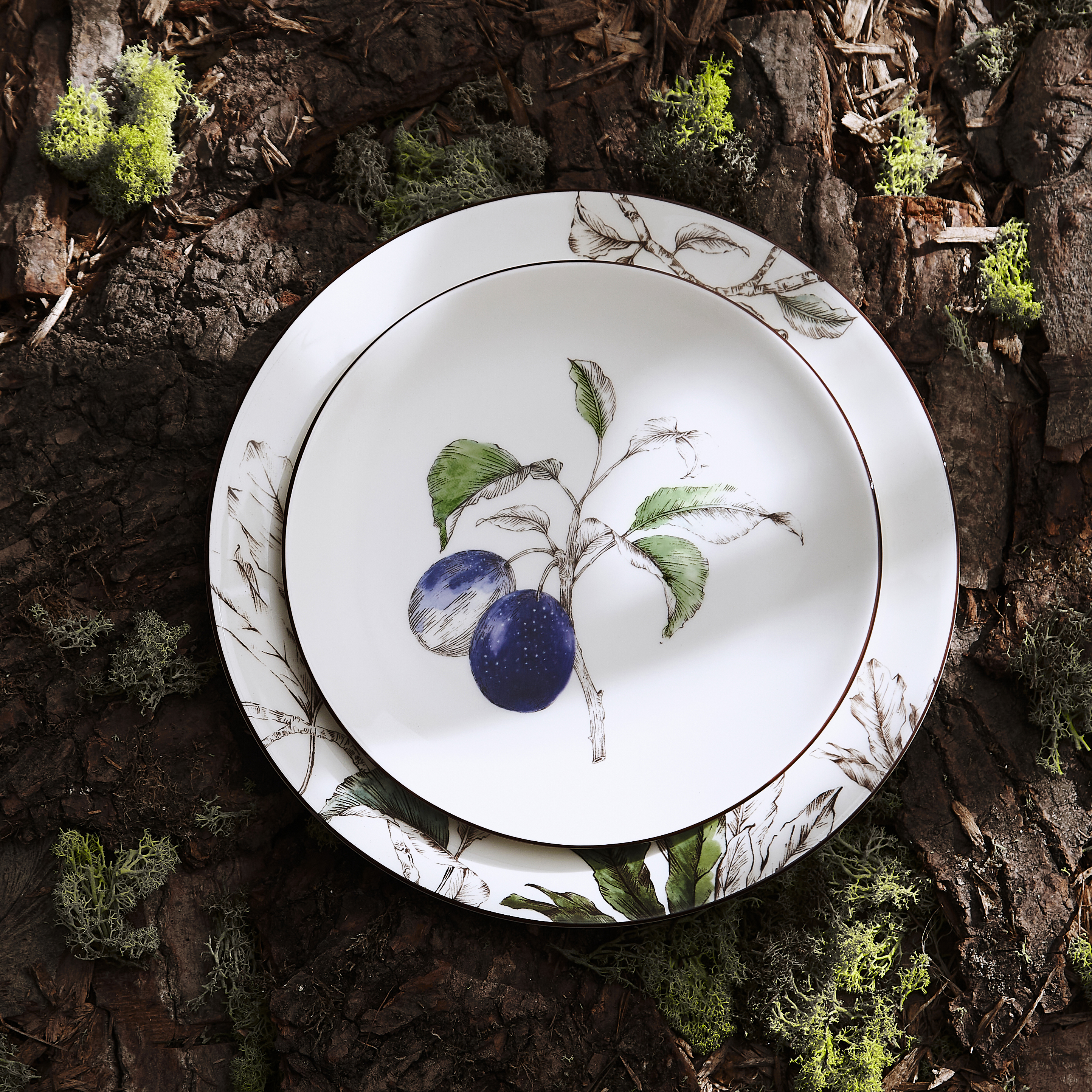 Nature's Bounty 9.5 Inch Salad Plate, Plum image number null